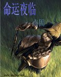 (FATE同人)命運夜臨