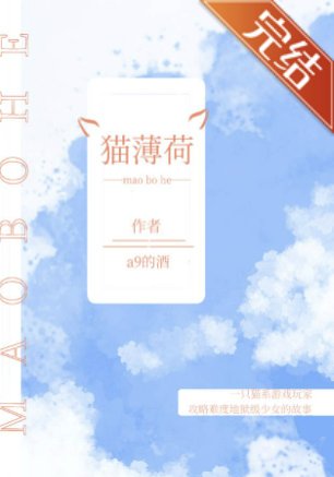 （排球少年同人）[排球少年]猫薄荷
